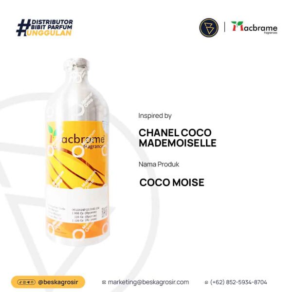 COCO MOISE - CHANEL COCO MADEMOISELLE